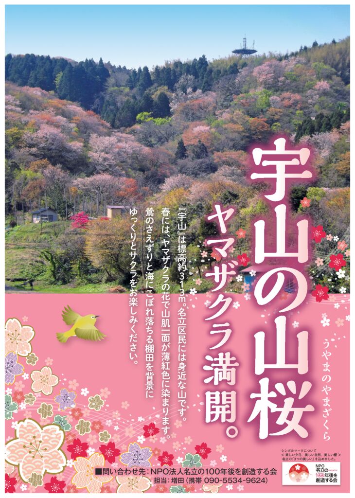 名立山桜のサムネイル